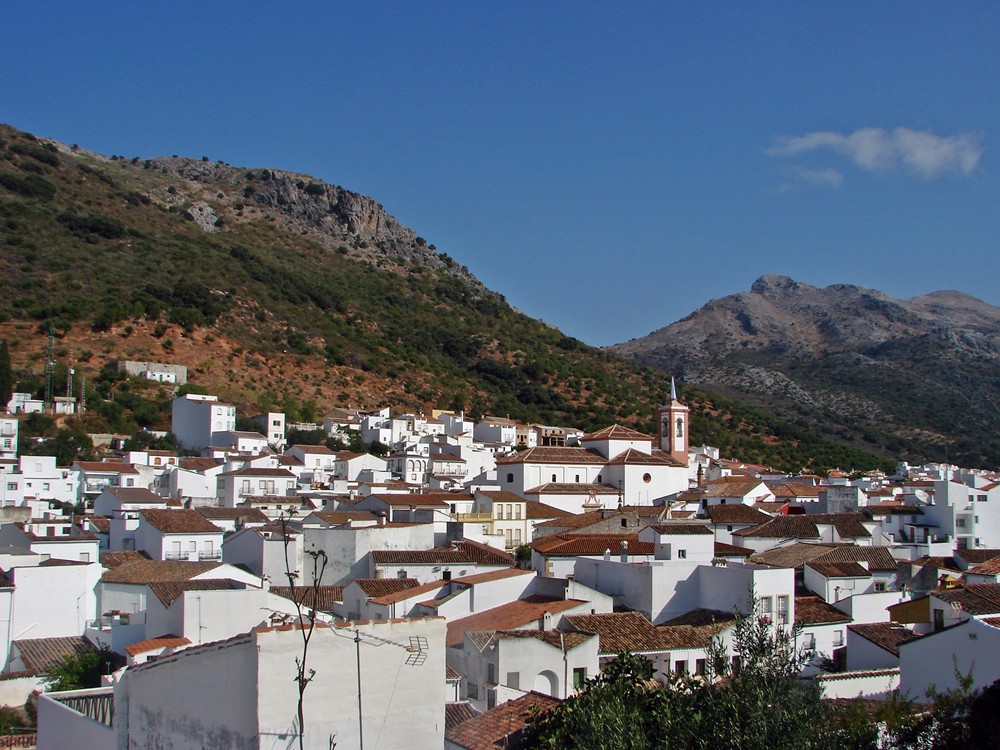 Ruta micológica en Los Alcornocales